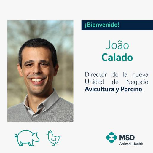 João Calado es nombrado nuevo director de la Unidad de Negocio de Avicultura y Porcino en MSD Animal Health España