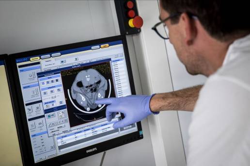 El sector porcino podrá probar las ventajas de la tomografía computerizada gracias al IRTA