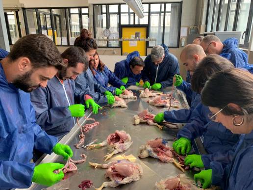 Las principales empresas avícolas españolas acuden al Seminario de Salud Intestinal de Zoetis en la Universidad de Gante