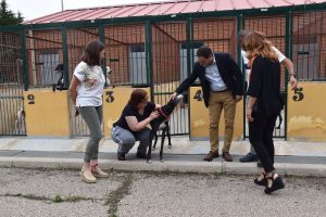 Ocho voluntarios de Vivir realizan actividades con los perros del Albergue de Diputación Cuenca como refuerzo emocional