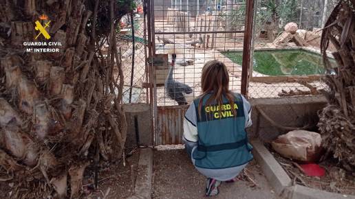 El Seprona interviene más de una docena de especies protegidas en un zoológico ilegal en Güímar