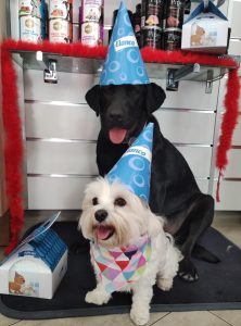 Elanco presenta “Puppy-Party”, la fiesta de la desparasitación para cachorros en clínicas veterinarias