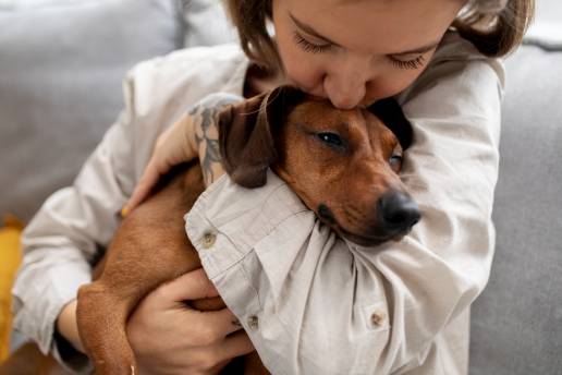 Cómo los perros perciben a los humanos y cómo los humanos deben tratar a sus perros: vincular la cognición con la ética