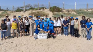 La campaña 'Tortugas en el Mediterráneo' se amplía a 80 puntos de la Comunitat Valenciana, Murcia, Andalucía y Baleares