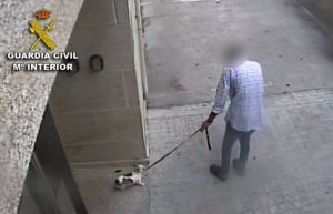 Investigan a un hombre por matar a su perro en Baiona y presentar una denuncia falsa