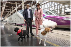 Los trenes de Avlo de Renfe admitirán mascotas de hasta 10 kilos por 10 euros