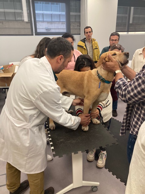 Más de 120 veterinarios de España y Portugal participan en la formación 360o en ortopedia y traumatología organizada por Elanco