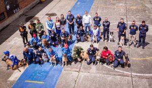 La Junta lleva a Colombia a un experto mundial en rescate con caninos para impartir formación a equipos de emergencia