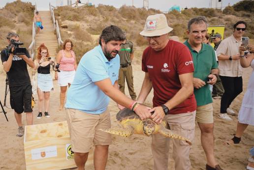 La Comunidad murciana recupera y libera 33 ejemplares de tortuga boba en los últimos diez años