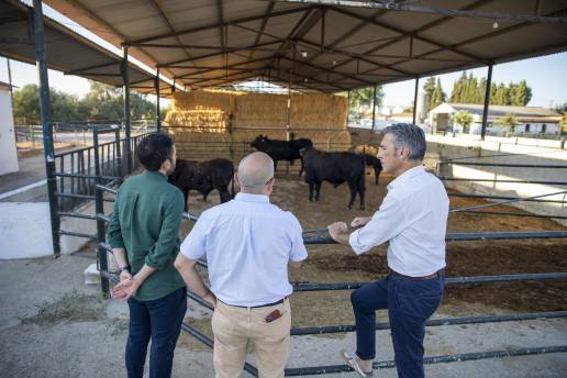 Crean el primer banco de germoplasma de raza bovina negra andaluza en el Centro Agropecuario de Diputación