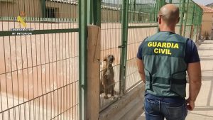 Detenido en Ceutí por estafar presuntamente a dueños de perros robados haciéndoles creer que conocía su paradero