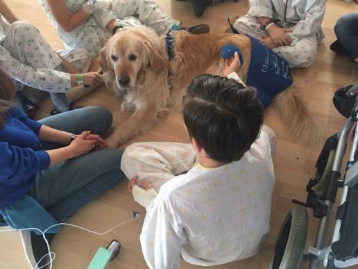 Más de 150 pacientes pediátricos del Hospital Reina Sofía se benefician de la terapia canina
