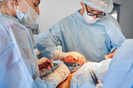 Eficacia de la ropivacaína epidural lumbosacra y sacrococcígea en perros sometidos a cirugía por hernia perineal