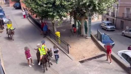 PACMA denuncia ante la Guardia Civil la carrera de burros de Tricio, en La Rioja