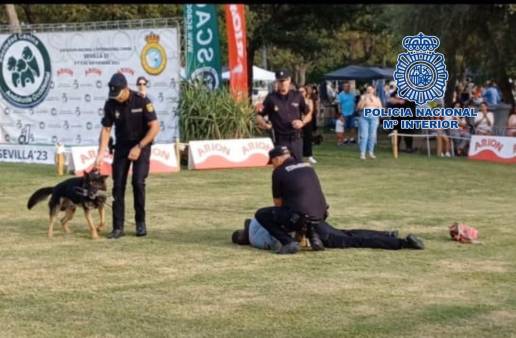 Exhibición de la Unidad Canina de la Policía Nacional en la exposición nacional celebrada en el Alamillo