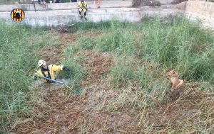 Rescatan a dos perros atrapados en una balsa de riego en Cheste
