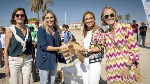 Sueltan al mar en Almassora una tortuga recuperada en el Oceanogràfic de Valencia