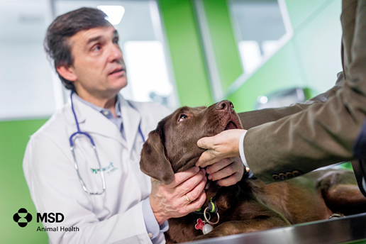 MSD Animal Health dona más de cinco millones de vacunas contra la rabia y refuerza su compromiso para lograr la erradicación de la enfermedad