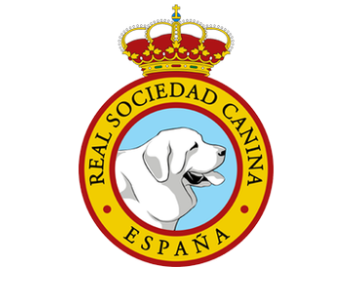 La Real Sociedad Canina de España pide que las personas sin hogar puedan acceder con sus perros a los albergues municipales 
