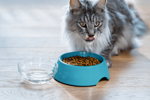 Purina anuncia su primera gama de alimentos para mascotas con reducción de carbono: Purina ONE DualNature