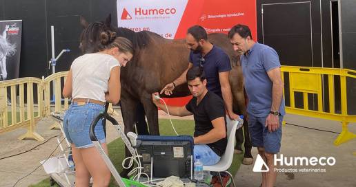Más de 30 veterinarios de España y Portugal participan en el curso de formación equina 'Jaque Mate' en Huesca