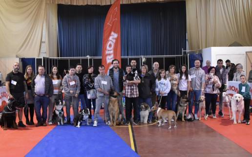Más de un centenar de perros compiten en el Concurso Nacional de Belleza Canina Ciudad de Monzón (Huesca)