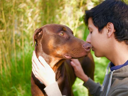 Purina: 4 beneficios de crecer con una mascota y promover su cuidado responsable