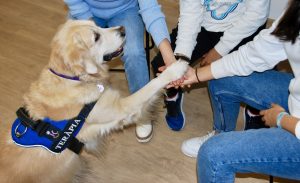 Purina colabora en un estudio multicéntrico que confirma beneficios de la terapia asistida con perros para adolescentes con trastornos mentales