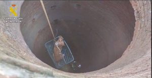 La Guardia Civil rescata a un perro que había caído a un pozo de unos diez metros en Azuaga