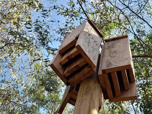Carboneros, herrerillos y murciélagos ocupan el 40% de las cajas nido de la CHS