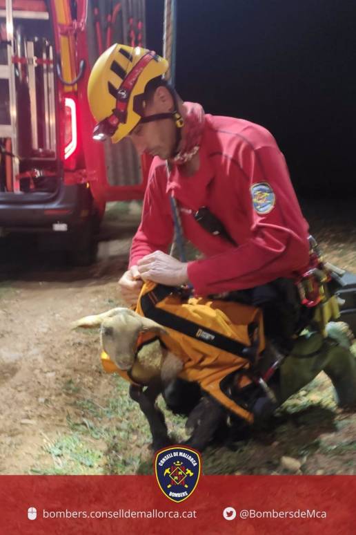 Bomberos de Mallorca rescatan a un cordero que había caído a un pozo de unos 15 metros