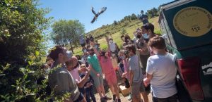 Autorizado el gasto de más de medio millón € para gestionar al Centro de Recuperación de Fauna Silvestre 'La Fombera'
