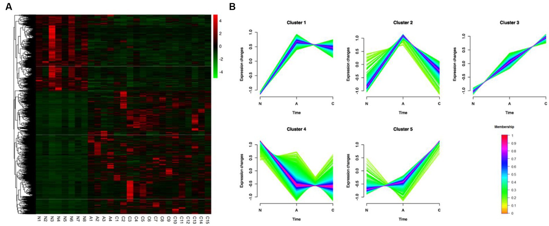 El análisis del transcriptoma de las secuencias de adenoma y carcinoma ...