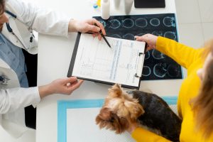 Gobierno Vasco colabora en la implantación y uso de la receta electrónica veterinaria