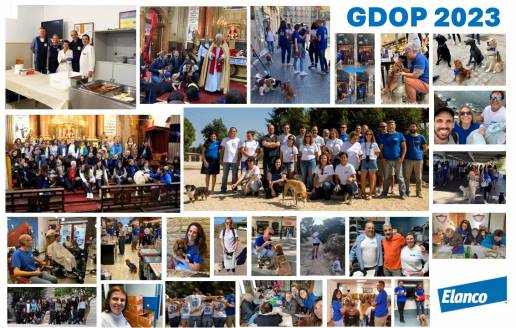 Los empleados de Elanco en España y Portugal dejan su huella positiva realizando actividades solidarias de voluntariado