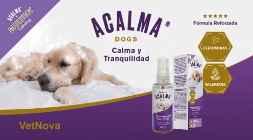 VetNova presenta ACALMA® Dogs Spray