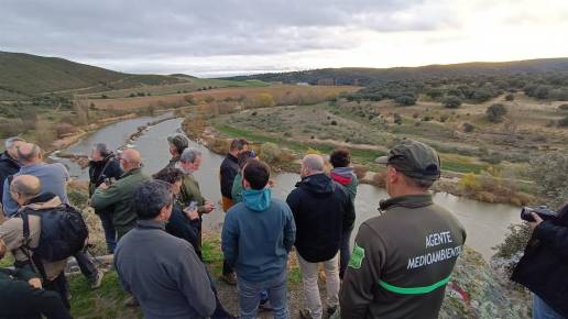 La Junta estudia la reintroducción del lince ibérico en los Cañones del Duero en Zamora y en el Cerrato, en Palencia
