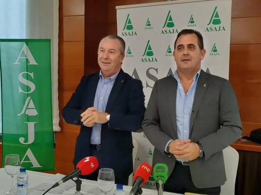 Asaja Salamanca cuantifica 50 millones de euros en pérdidas por la EHE en las ganaderías de la provincia