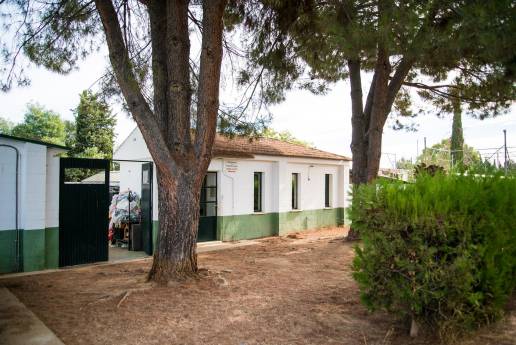 El Centro Zoosanitario de Mérida contará con jaulas de fácil lavado y un aislamiento adecuado para evitar contagios