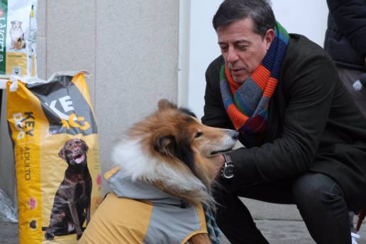 Besteiro (PSdeG) hace un llamamiento a la adopción animal responsable en Navidad: 