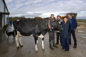 Buruaga reconoce la trayectoria de la ganadería SAT Ceceño, propietaria de la vaca campeona de Europa, Llinde Ariel