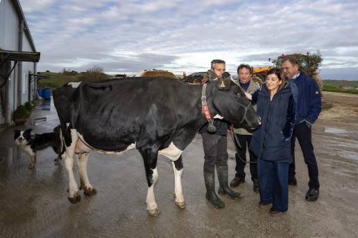 Buruaga reconoce la trayectoria de la ganadería SAT Ceceño, propietaria de la vaca campeona de Europa, Llinde Ariel