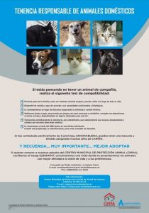 Nueva campaña para concienciar sobre la tenencia responsable de animales de compañía