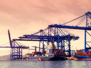 Los veterinarios garantizan el estado óptimo de alimentos y animales vivos en los más de cuarenta Puestos de Inspección Fronterizos