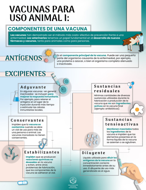 OCV: “El desarrollo de nuevas vacunas es una de las herramientas más importantes en la lucha frente a la resistencia a los antibióticos”