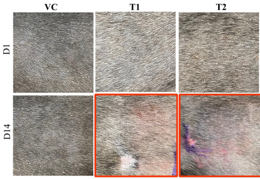 Establecimiento de un modelo experimental de dermatitis atópica inducida por ovoalbúmina en caninos