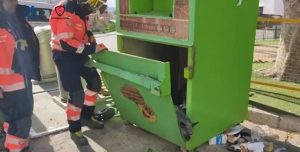Efectivos del CPB rescatan a dos perros del interior de un contenedor de ropa en Álora