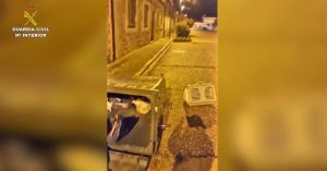 Investigan a un vecino de La Parrilla (Valladolid) por abandonar a ocho cachorros en un contenedor
