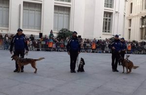 La Sección Canina de la Policía Municipal se pondrá al frente del pregón de San Antón este sábado