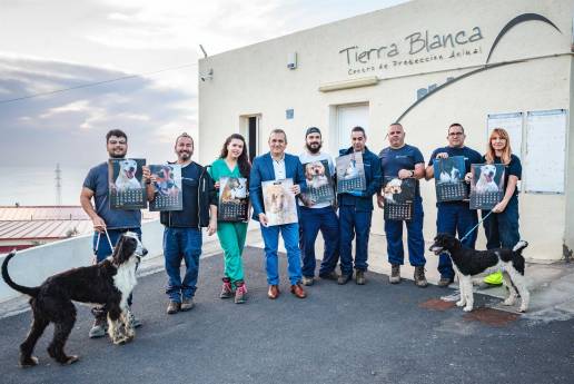 El Cabildo de Tenerife lanza una campaña de concienciación contra el abandono de animales